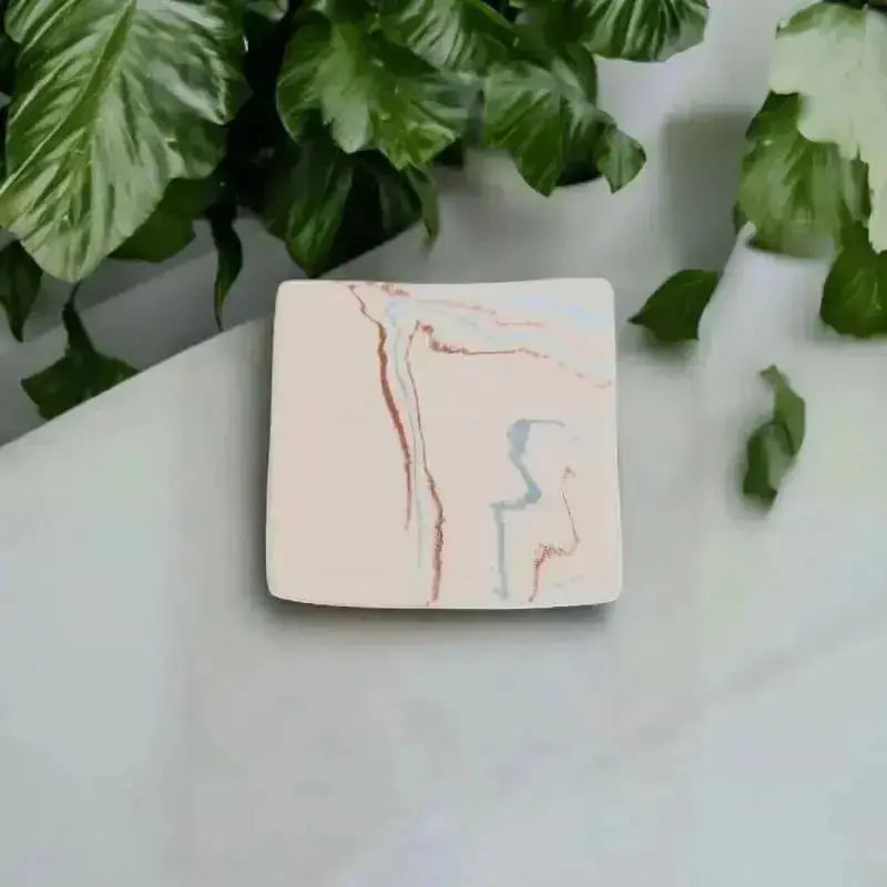 Petite Coupelle carré couleure beige marbrer de rouge et bleu aec verdure de plante derrière 