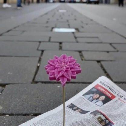 Étoile de Noël fushia en cire artisanale, fleur décorative poétique sur un trottoir urbain – Lulu Baladine