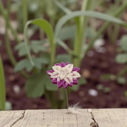 Étoile de Noël fushia et blanche en cire artisanale, fleur décorative délicate parmi les plantes du jardin – Lulu Baladine