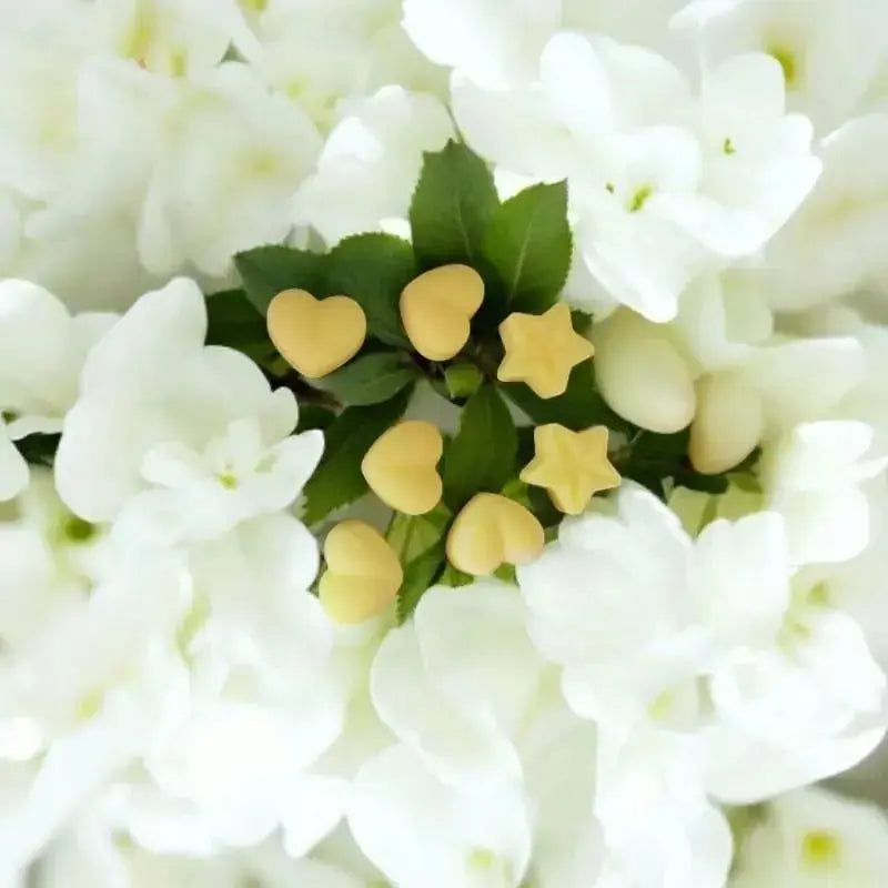 Fondant parfumée avec fleur de jasmin