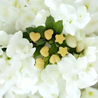 Fondant parfumée avec fleur de jasmin