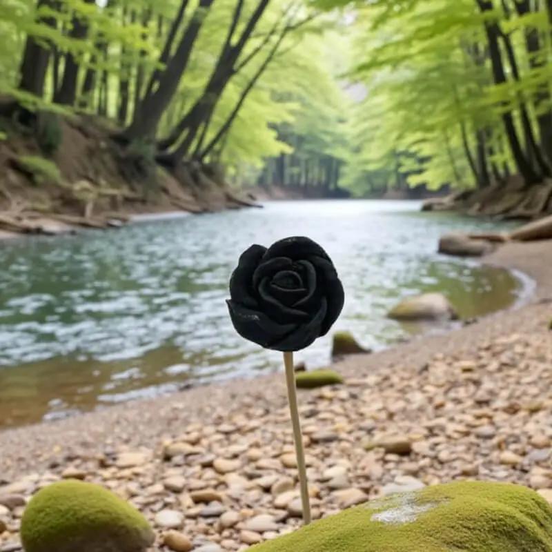 Petite rose noire Lulu Baladine au bord d’une rivière entourée d’arbres verdoyants.