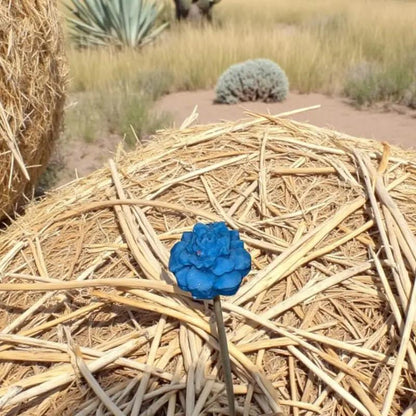 Petite fleur œillet bleue posée sur de la paille en plein champ ensoleillé