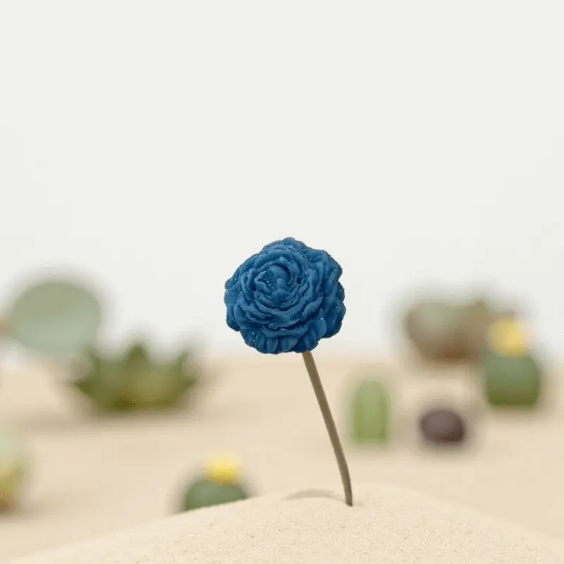 Petite pivoine bleu Lulu Baladine placée sur une bute de sable.