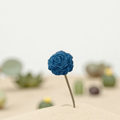 Petite pivoine bleu Lulu Baladine placée sur une bute de sable.