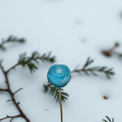 Petite renoncule Turquoise en cire artisanale, fleur poétique planté dans la neige, avec branches de sapin – Lulu Baladine