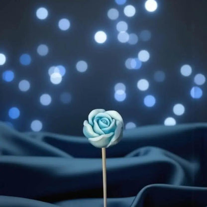 Petite rose turquoise bordée de blanc Lulu Baladine sous les etoile du ciel .