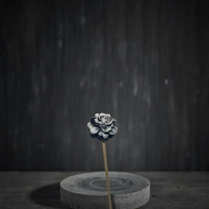 Petite fleur œillet noir et blanc élégante sur fond sombre minimaliste