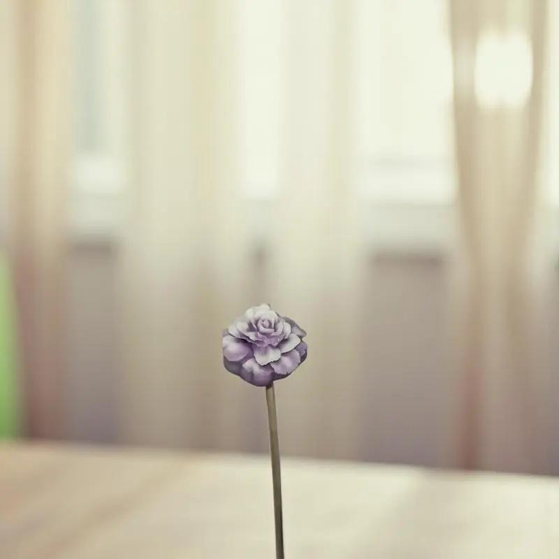 Petite fleur œillet vieux rose délicate dans un intérieur doux et lumineux