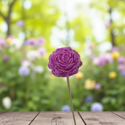 Petite pivoine fuchsia Lulu Baladine dans un jardin ensoleillé avec des fleurs colorées en arrière-plan.