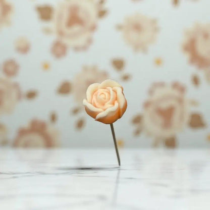 Petite pivoine orange bordée de blanc Lulu Baladine sur fond floral doux et lumineux.