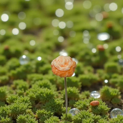Petite pivoine orange Lulu Baladine au milieu de la mousse verte et de gouttes de rosée.