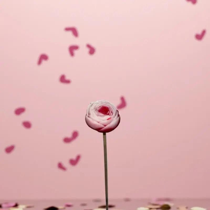 Petite renoncule bordée rouge en cire artisanale, fleur romantique sur fond rose parsemé de pétales – Lulu Baladine
