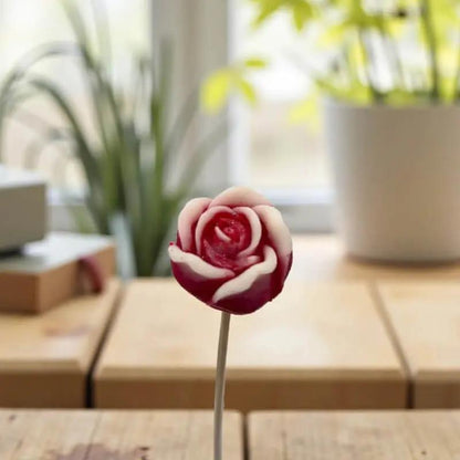 Petite rose rouge bordée de blanc Lulu Baladine sur une table en bois près d’une fenêtre lumineuse.
