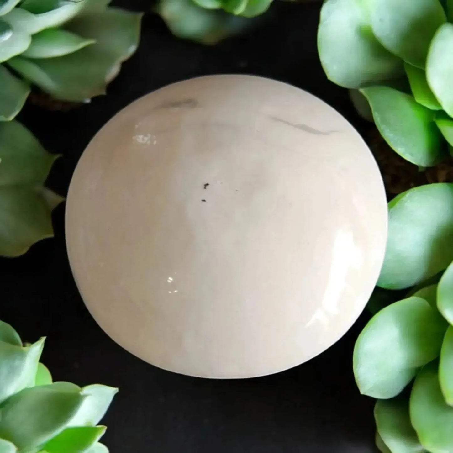 galet de massage en email blanche poser entre des plante grasse 