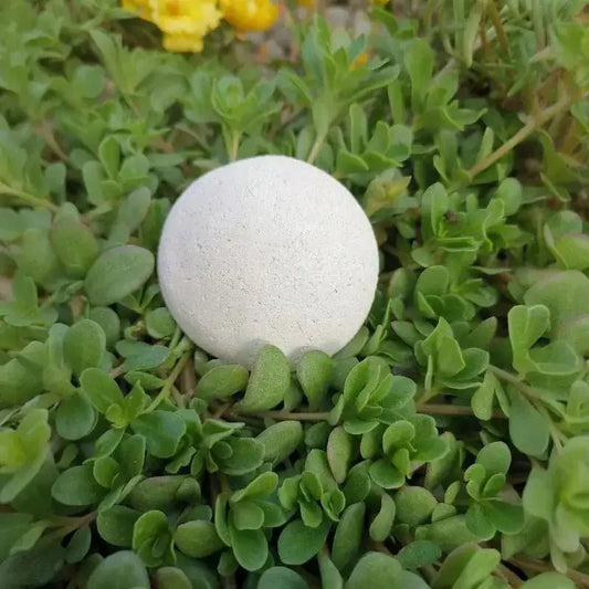 Pierre visage blanche en argile poser dans du pourpied