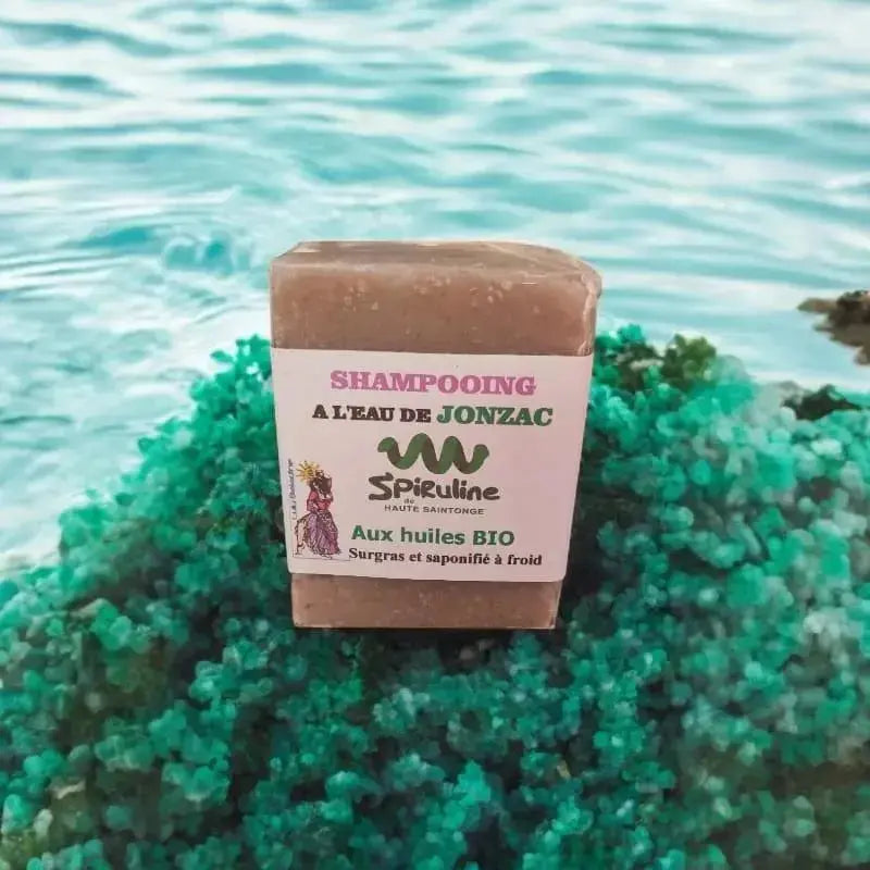 shampoing solide spiruline de haute Saintonge saponifié à froid à l’eau de Jonzac posé sur roches vertes au bord de mer