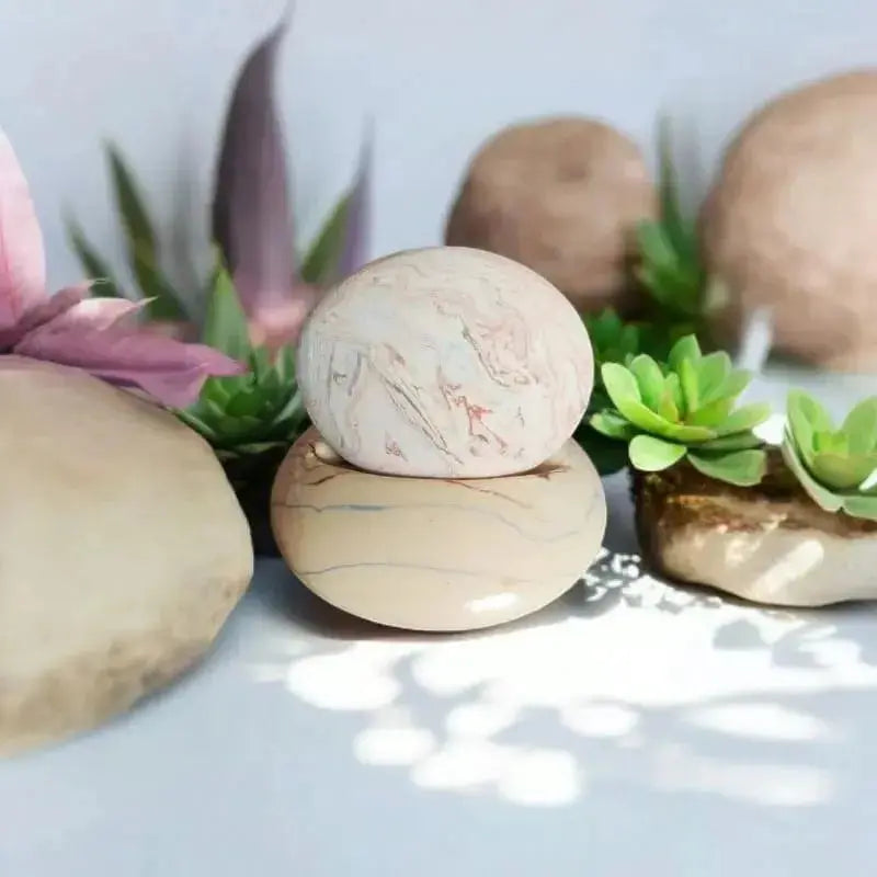 Pied simple pour galet avec plante grasse verte 