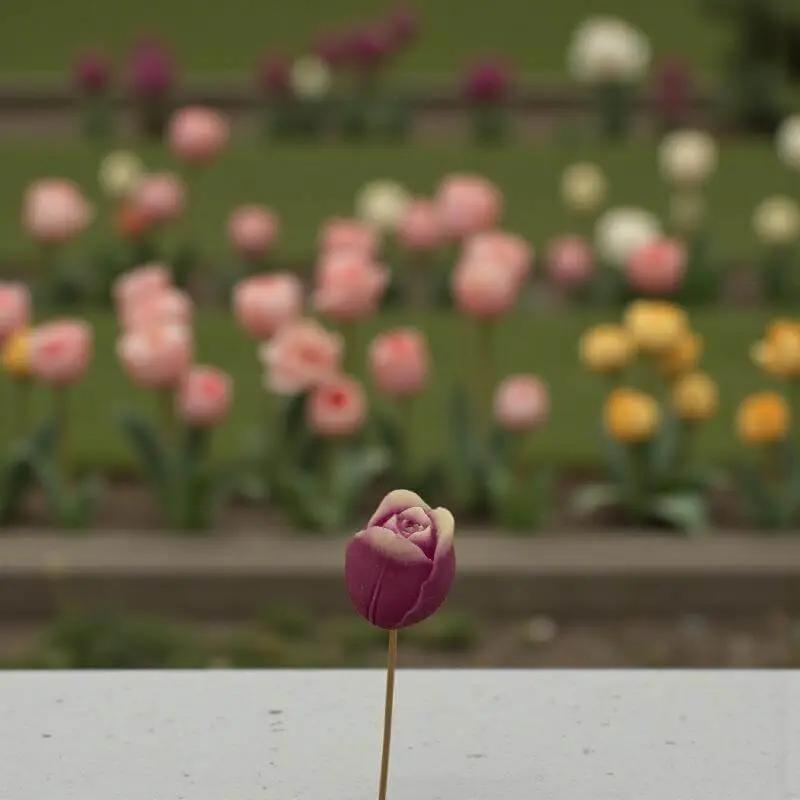 Tulipe bordée de fuchsia en cire artisanale, fleur décorative colorée devant un parterre fleuri – Lulu Baladine